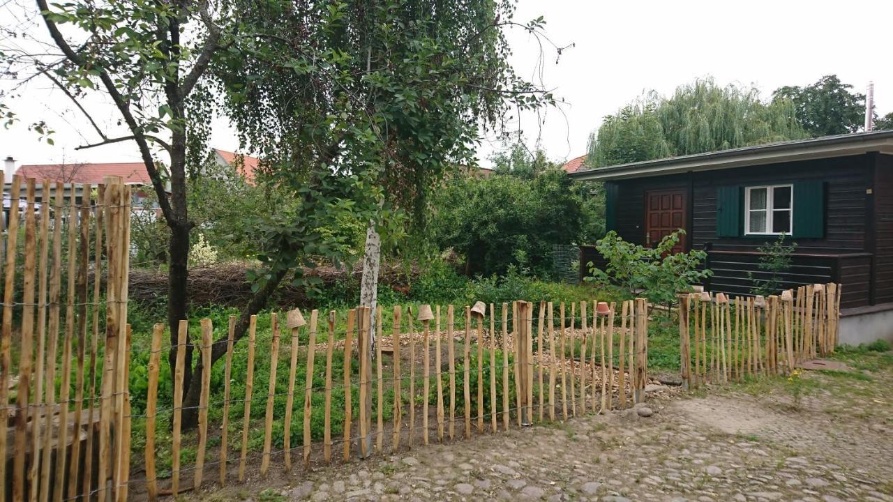Huette Mit Herz Im Harz Apartment Meisdorf Екстериор снимка