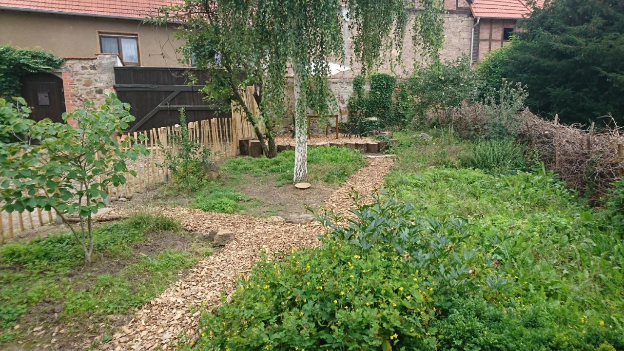 Huette Mit Herz Im Harz Apartment Meisdorf Екстериор снимка