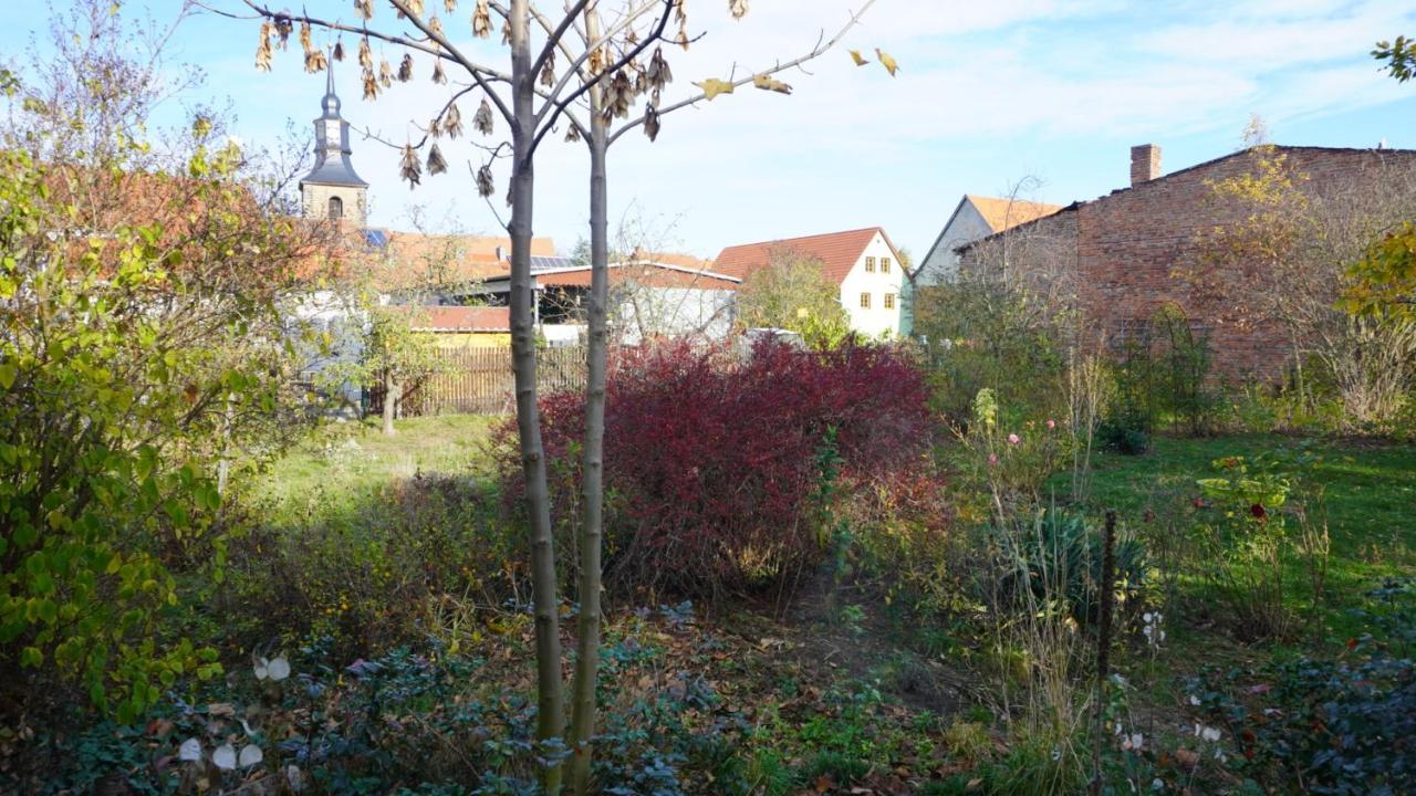 Huette Mit Herz Im Harz Apartment Meisdorf Екстериор снимка